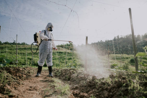 Best Commercial Pest Control Services  in Cave City, AR