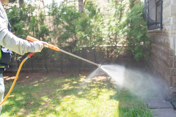 Best Emergency Pest Control  in Cave City, AR