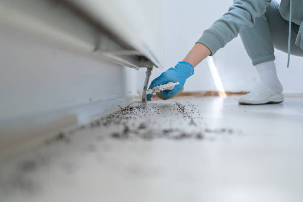 Trusted Cave City, AR Pest Control Experts