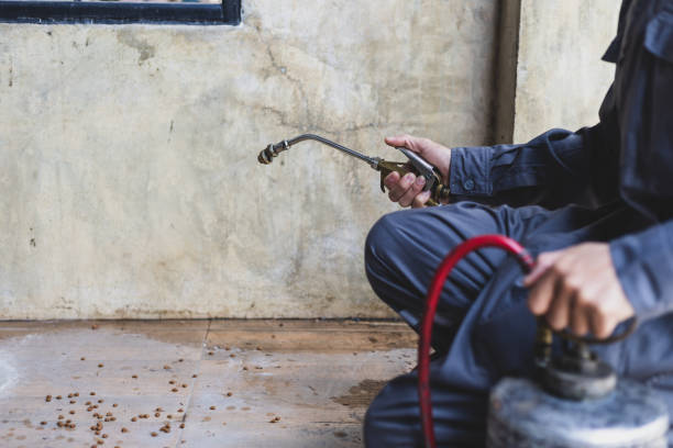 Best Exterminator Services  in Cave City, AR